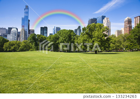 中央公園草坪和周圍建築 133234263