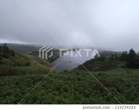 八幡平池 - 從八幡平遠足步道看到的景色 133234283