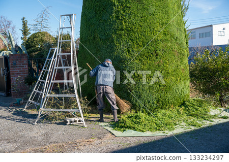 pruning, gardener, landscaper 133234297