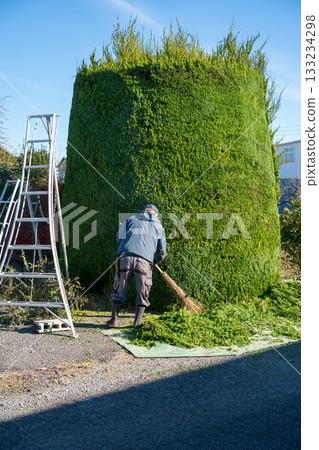 pruning, gardener, landscaper 133234298