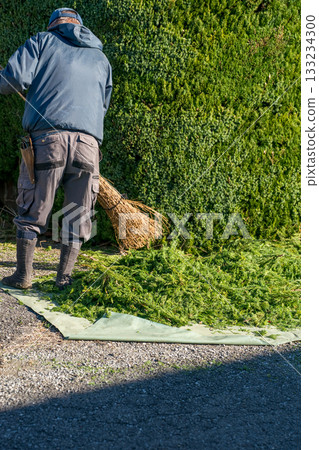 pruning, gardener, landscaper 133234300