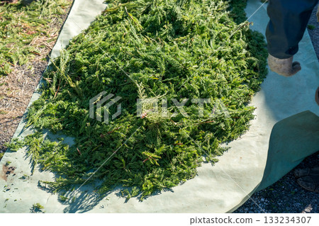 修剪 園丁 花園 133234307