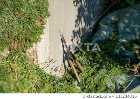 修剪 園丁 花園 133234310