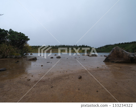 Cattail Swamp - Hachimantai National Park 133234322