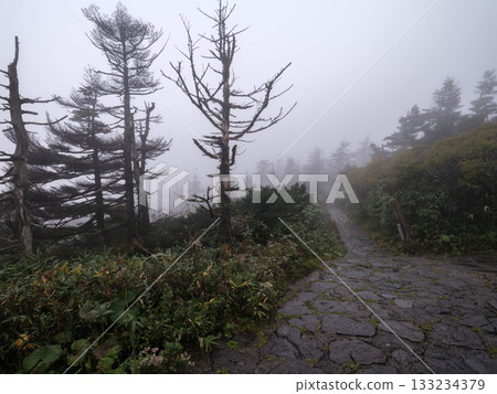 Hachimantai hiking trails - Towada-Hachimantai National Park 133234379