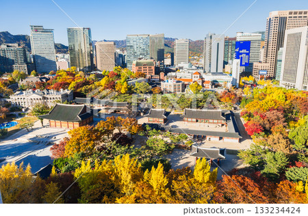 Autumn in Seoul: Deoksugung Palace 133234424