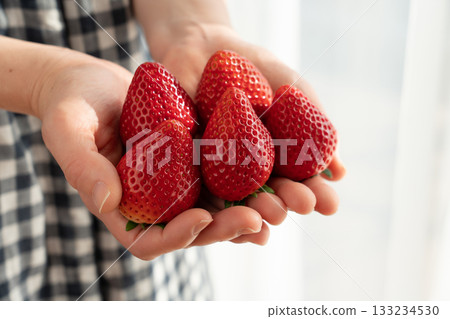 A lot of ripe red strawberries in a woman's hand (woman) 133234530
