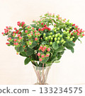 Colorful Hypericum 1 133234575