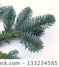 Small fir branch 1 133234585