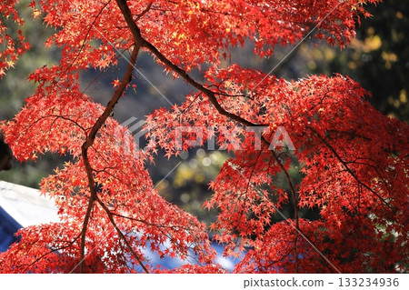 Fall of Nanzenji Fall of Nanzenji 133234936