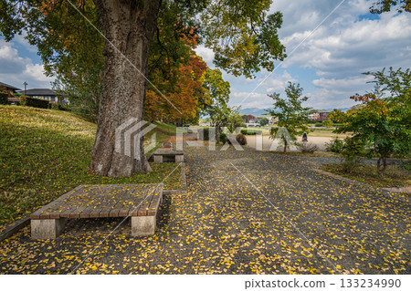 Kamogawa scenery in autumn Kamogawa scenery in autumn 133234990