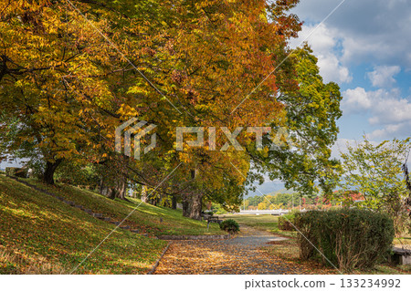 Kamogawa scenery in autumn 133234992