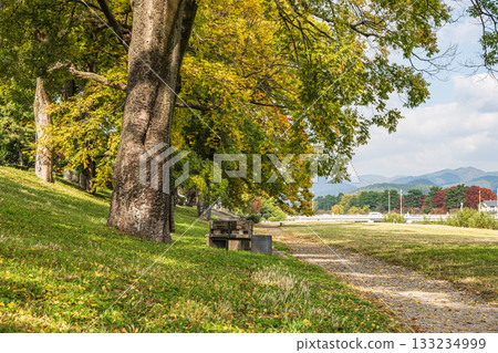 秋天的鴨川風景 秋天的鴨川風景 133234999