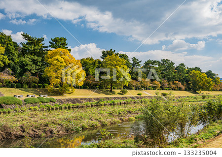 Kamogawa scenery in autumn Kamogawa scenery in autumn 133235004