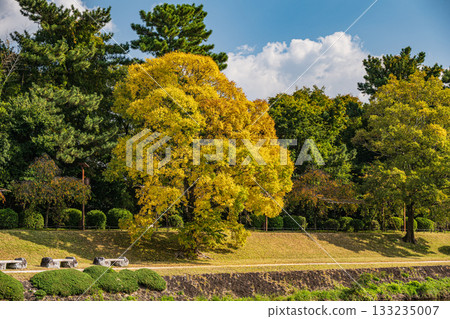 秋天的鴨川風景 133235007