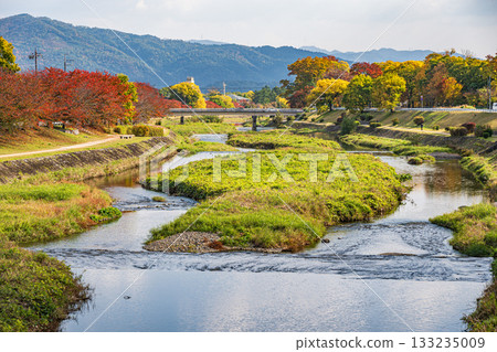 Kamogawa scenery in autumn 133235009