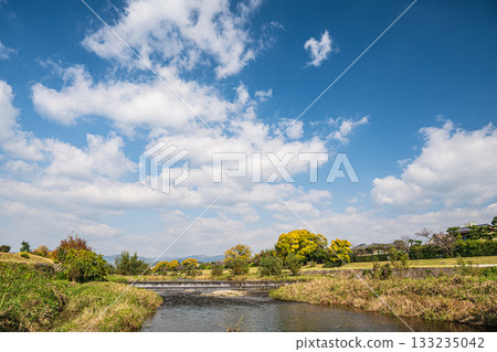Kamogawa scenery in autumn 133235042