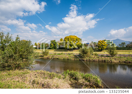 秋天的鴨川風景 133235044