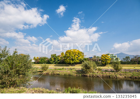 秋天的鴨川風景 133235045