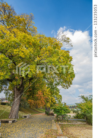 Kamogawa scenery in autumn 133235053
