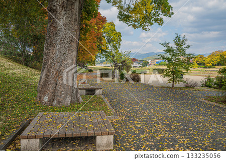 Kamogawa scenery in autumn 133235056