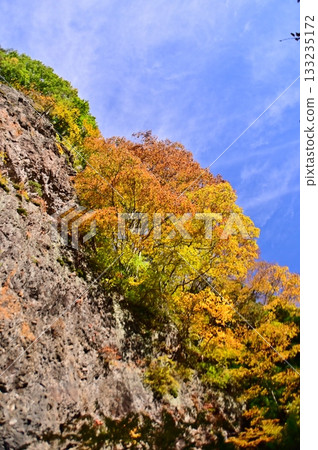 Autumn leaves decorating the cliff face 133235172