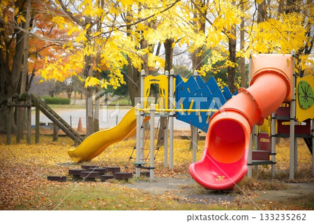 Autumnal leaves park Autumnal leaves park 133235262