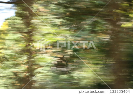 Flowing natural scenery taken from a car Flowing natural scenery taken from a car 133235404