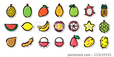 熱帶水果手繪插畫貼紙組。食品、健康、水果向量素材。 熱帶水果手繪插畫貼紙組。食品、健康、水果向量素材。 133235555