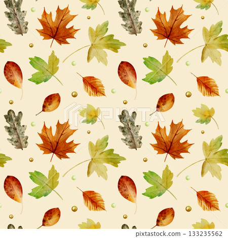 An aquarelle seamless pattern with autumn leaves. 133235562