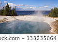 Thumb Geyser in Yellowstone National Park, Wyoming 133235664