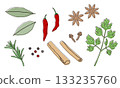 Herbs and spices illustration 133235760