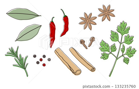 Herbs and spices illustration 133235760
