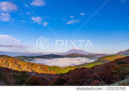 [Kanagawa Prefecture] Beautiful autumn foliage from Mount Daikanzan in Hakone, the sea of clouds over Lake Ashi, and Mount Fuji at dawn 133235765