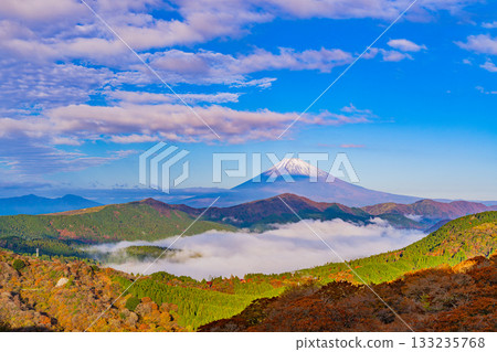 [Kanagawa Prefecture] Beautiful autumn foliage from Mount Daikanzan in Hakone, the sea of clouds over Lake Ashi, and Mount Fuji at dawn 133235768