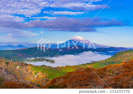 [Kanagawa Prefecture] Beautiful autumn foliage from Mount Daikanzan in Hakone, the sea of clouds over Lake Ashi, and Mount Fuji at dawn 133235770