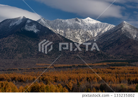 Autumn leaves of larch trees and the first snow on the mountains 133235802