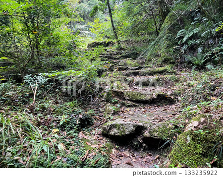 Stairs leading to the two-tiered waterfall at Ryuzukyo Gorge in Akiota, Hiroshima Prefecture. Stairs leading to the two-tiered waterfall at Ryuzukyo Gorge in Akiota, Hiroshima Prefecture. 133235922