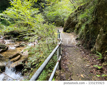 A promenade leading to the two-tiered waterfall at Ryuzukyo Gorge in Akiota, Hiroshima Prefecture. A promenade leading to the two-tiered waterfall at Ryuzukyo Gorge in Akiota, Hiroshima Prefecture. 133235923