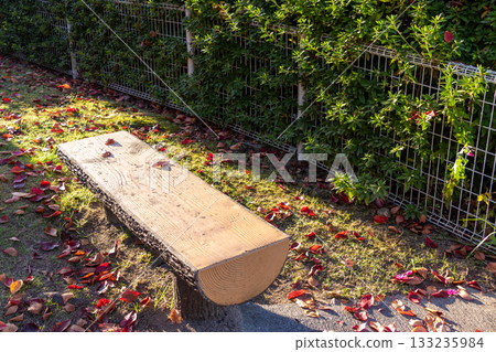 A park bench bathed in the autumn sunset A park bench bathed in the autumn sunset 133235984