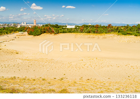 靜岡縣中田島沙丘 - 晴空下的景色 靜岡縣中田島沙丘 - 晴空下的景色 133236118
