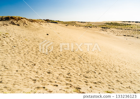 靜岡縣中田島沙丘 - 晴空下的景色 133236123