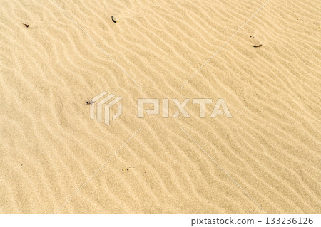 靜岡縣中田島沙丘 - 晴空下的景色 靜岡縣中田島沙丘 - 晴空下的景色 133236126