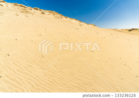 靜岡縣中田島沙丘 - 晴空下的景色 133236128