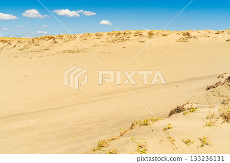 <<Shizuoka Prefecture>> Nakatajima Sand Dunes - Scenery under clear skies 133236131
