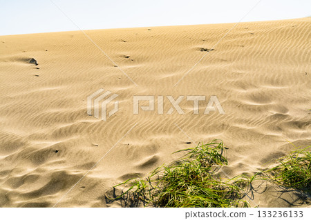 靜岡縣中田島沙丘 - 晴空下的景色 133236133