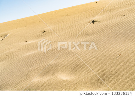 靜岡縣中田島沙丘 - 晴空下的景色 133236134