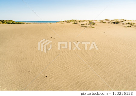 靜岡縣中田島沙丘 - 晴空下的景色 靜岡縣中田島沙丘 - 晴空下的景色 133236138