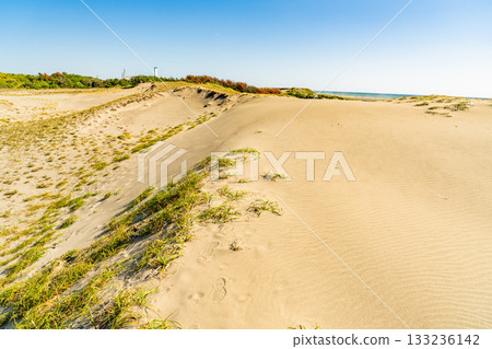 <<Shizuoka Prefecture>> Nakatajima Sand Dunes - Scenery under clear skies 133236142
