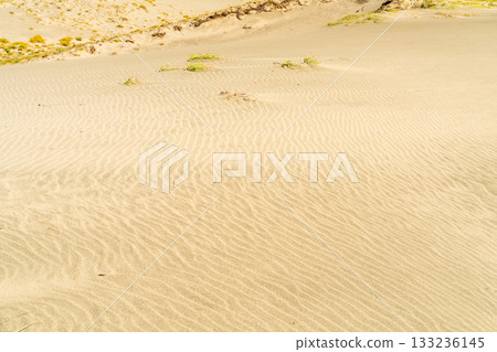 <<Shizuoka Prefecture>> Nakatajima Sand Dunes - Scenery under clear skies 133236145